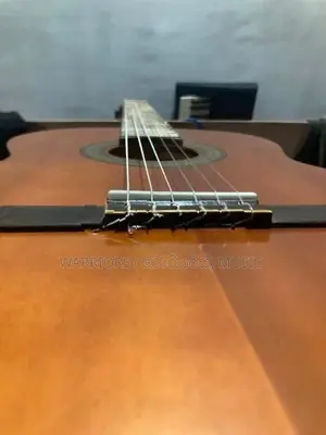 Zen on Gut Guitar ZG - 60 classic box Made in Japan