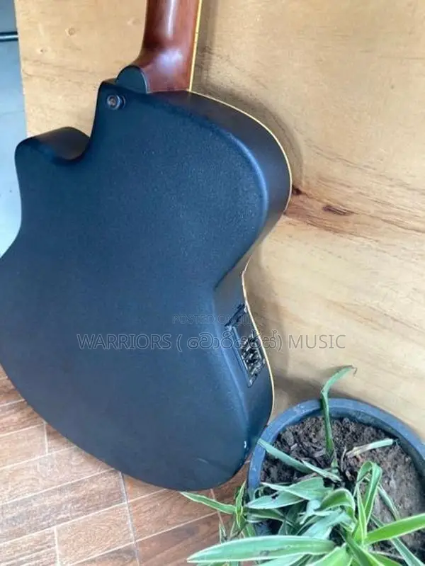 Dear DAC 485 E Japan imported Acoustic Guitar