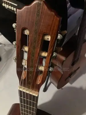 Zen on Gut Guitar ZG - 60 classic box Made in Japan