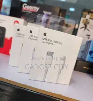 USB C to Lightning Cable (1m)