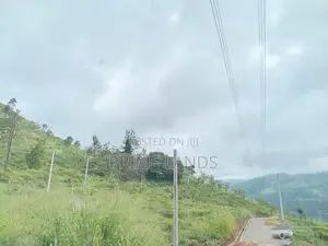 View point land Nuwaraeliya