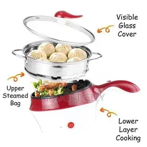 Multifunctional Electric Cooker Hot Pot with Steamer