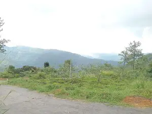 View point land Nuwaraeliya