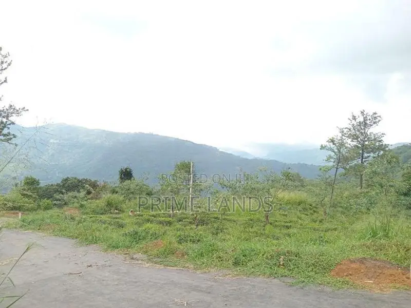 View point land Nuwaraeliya