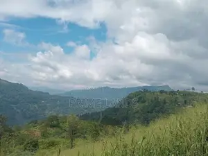 View Point Land for Sale Nuwara Eliya Pundaluoya