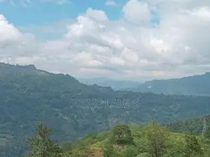 Land for Sale Nuwara Eliya