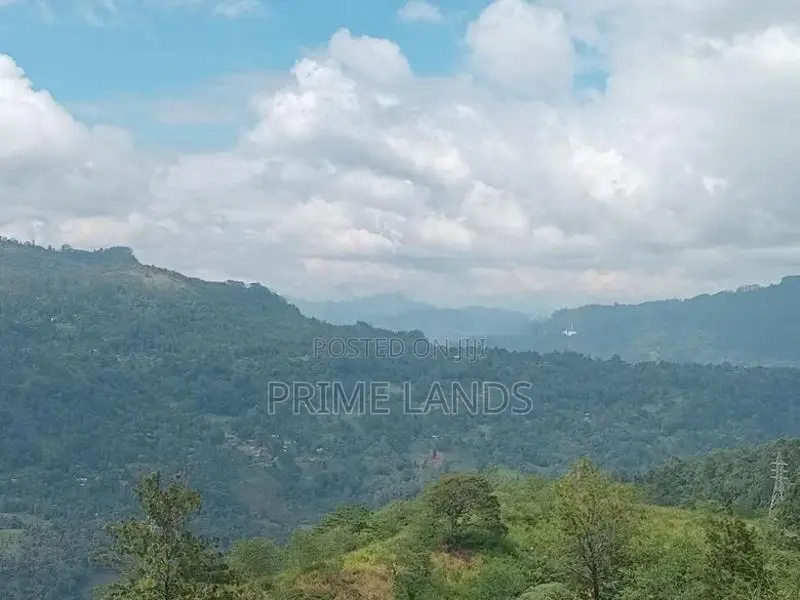 Land for Sale Nuwara Eliya