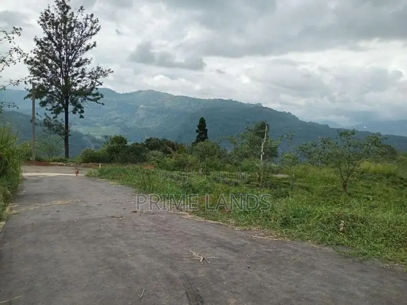 View point land Nuwaraeliya