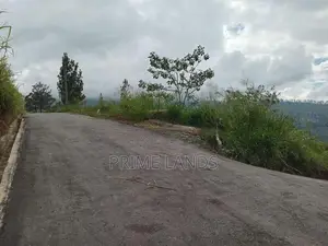 View Point Land for Sale Nuwara Eliya Pundaluoya