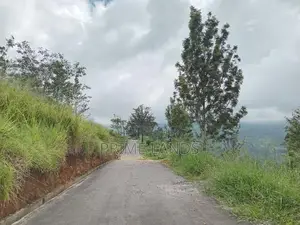 View Point Land for Sale Nuwara Eliya Pundaluoya