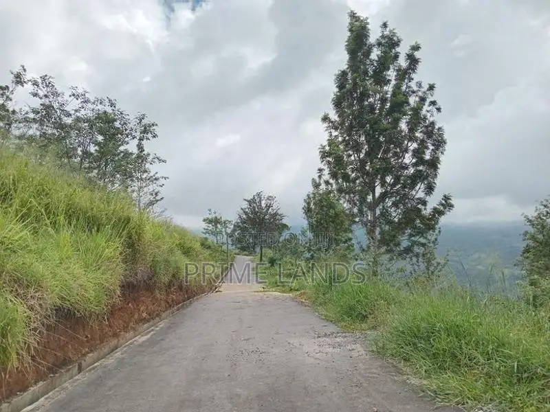 View Point Land for Sale Nuwara Eliya Pundaluoya