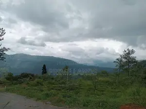 Land for Sale Nuwara Eliya