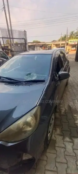 AQUA WINDSCREEN