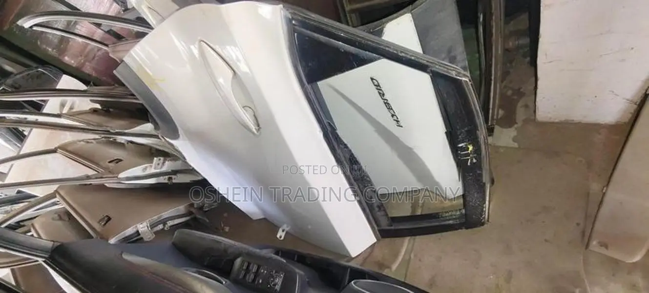 NX300H DOOR