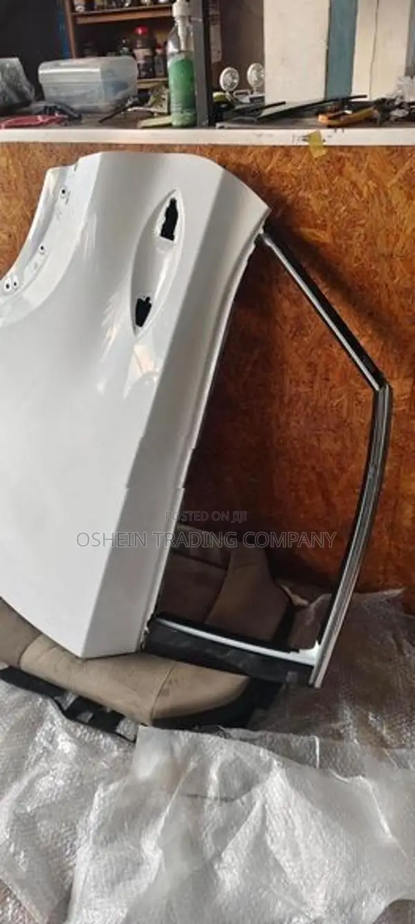 NX300H DOOR