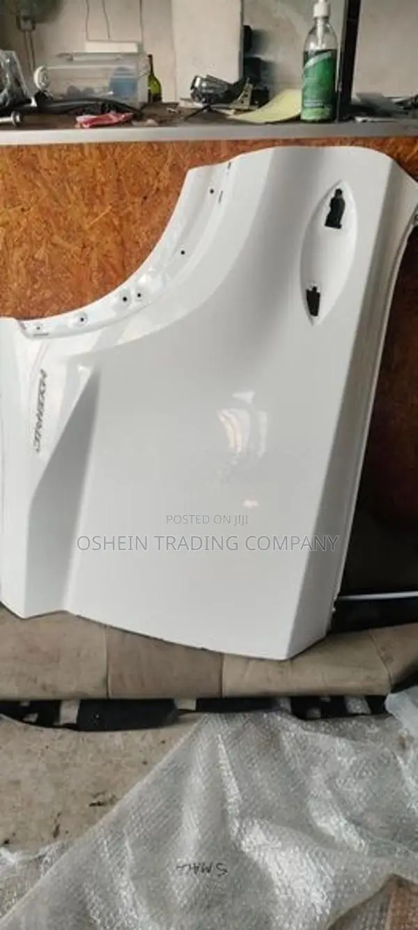 NX300H DOOR