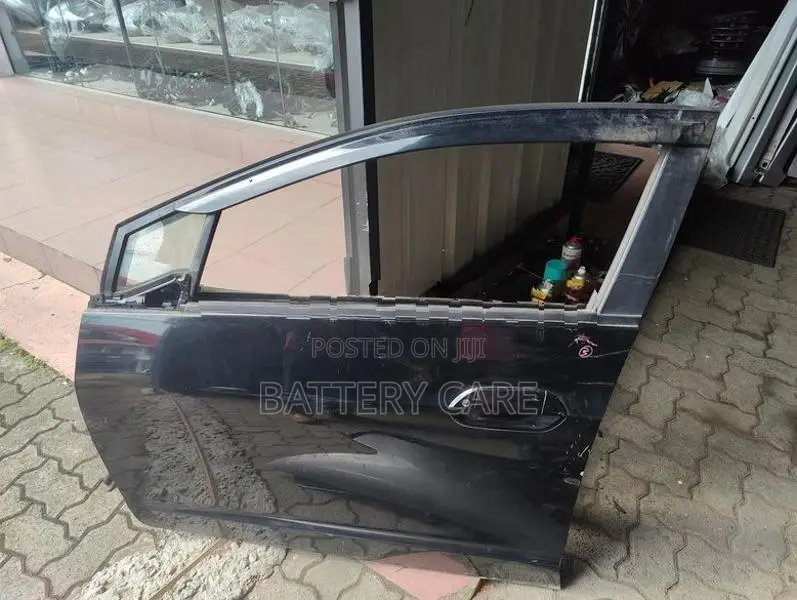 DRIVER DOOR PANAL