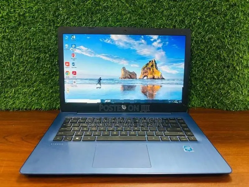 Hp Celeron Laptop