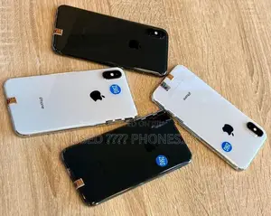 Apple iPhone X 256GB (Used)