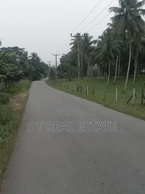 7 Acres Land For Sale In Hadapangoda