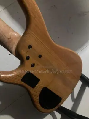 Samic 5 strings free amp Bass guitar