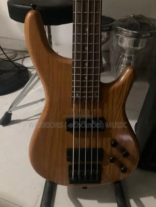 Samic 5 strings free amp Bass guitar
