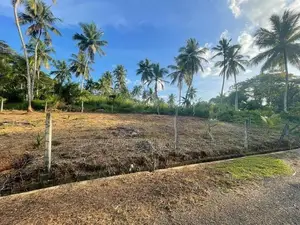 Land For Sale Veyangoda