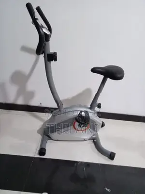 Singer Upright Bike