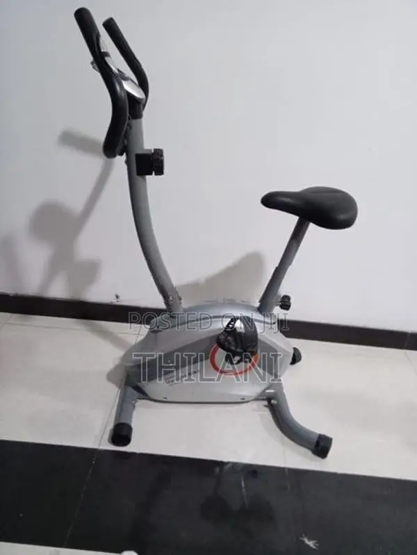 Singer Upright Bike