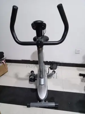 Singer Upright Bike