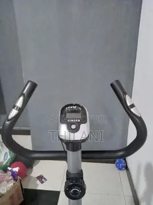 Singer Upright Bike