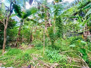 (AFA725) 20 P Bare Land Sale At Uthuwankanda Road Thalawathugoda