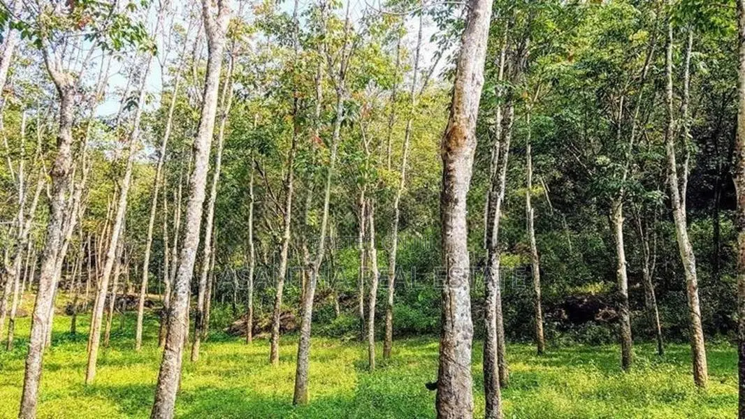 (AFA721) 19 Acres Land for sale in NEBODA-MATUGAMA