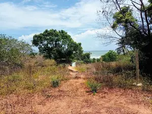 (AFA728) 147.25 P Beach Facing Land Sale At Kahadamodara Rekewa Ranna