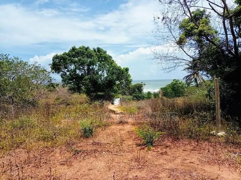 (AFA728) 147.25 P Beach Facing Land Sale At Kahadamodara Rekewa Ranna