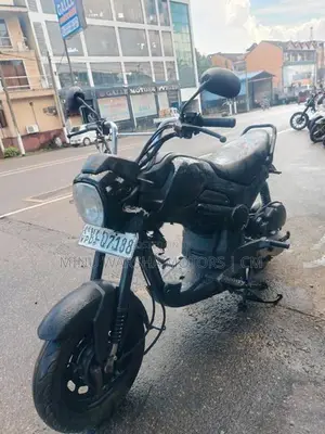 Honda Navi 2017