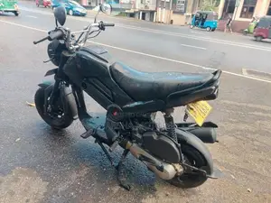 Honda Navi 2017