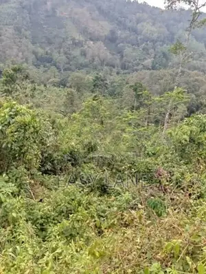 Rathnapura Land for Sale