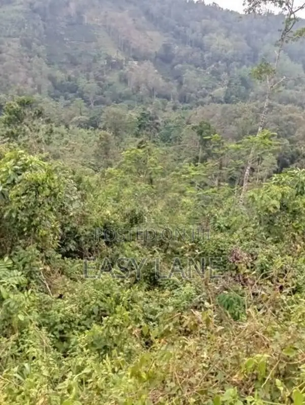 Rathnapura Land for Sale