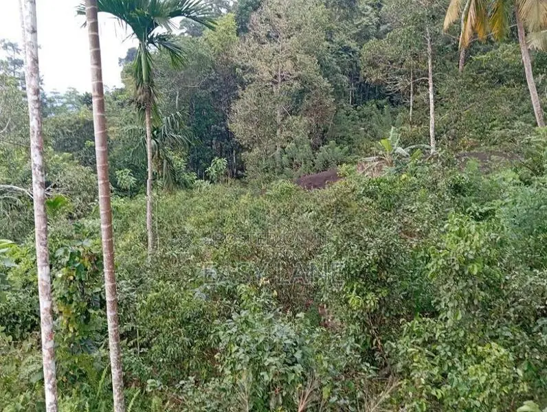 Rathnapura Land for Sale