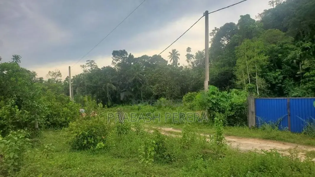 Land for Sale in Horana