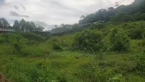 Land for Sale in Horana