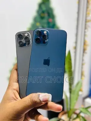 Apple iPhone 12 Pro 256GB (Used)