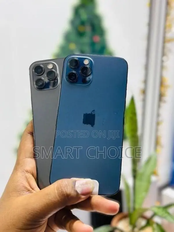 Apple iPhone 12 Pro 256GB (Used)