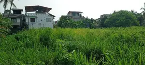 Colombo 15 Mattakkuliya 100 Perches Land For Sale