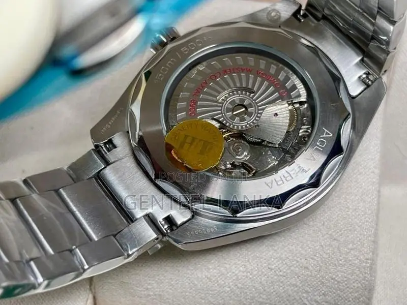 Omega Seamaster Watch