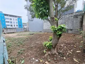 Bare Land For Sale in Facing Aponsu Mawattha Dehiwala