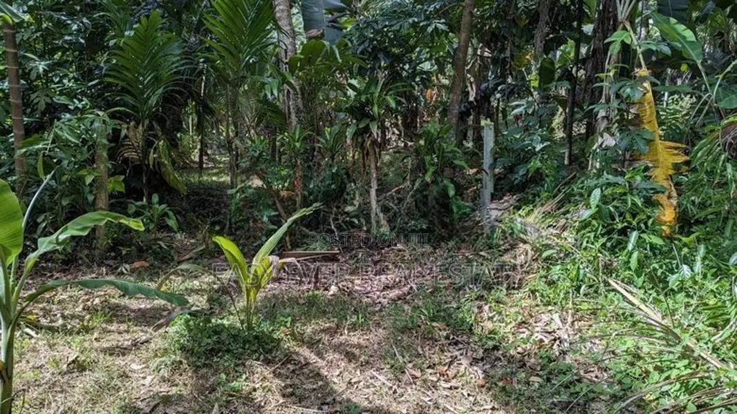 නිට්ටඹුව – මල්වත්ත කොන්ක්‍රීට් පාරට මුහුනලා පර්චස් 21.8