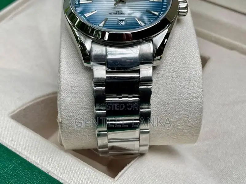 Omega Seamaster Watch