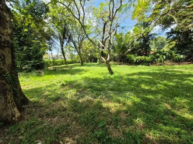 10P Bare Land For Sale In Boralesgamuwa